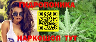 сатива Моздок