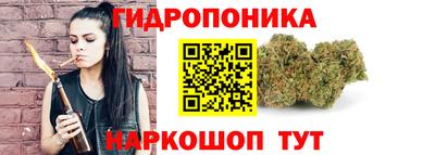 сатива Моздок