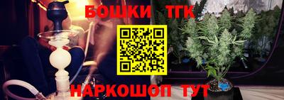 сатива Моздок