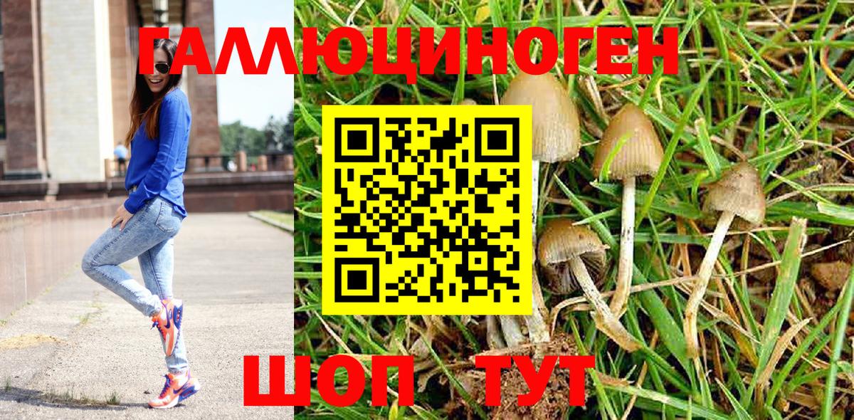 Галлюциногенные грибы MAGIC MUSHROOMS  Вход с VPN  Улан-Удэ 
