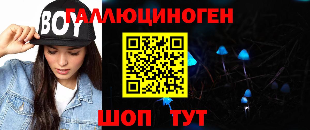 Псилоцибиновые грибы прущие грибы Улан-Удэ